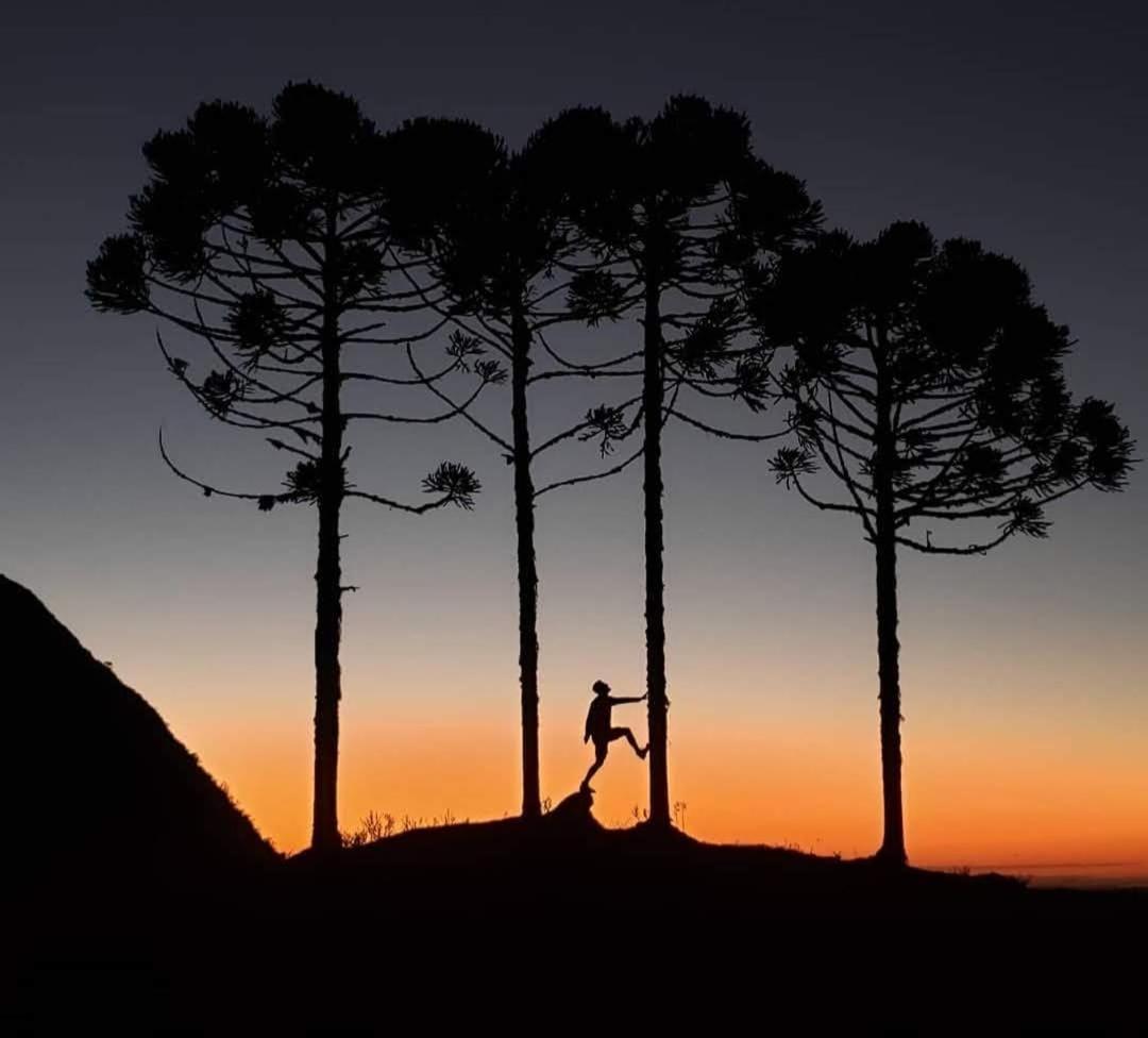 アウフレド・ヴァギネル Refugio Da Montanha Brasilヴィラ エクステリア 写真