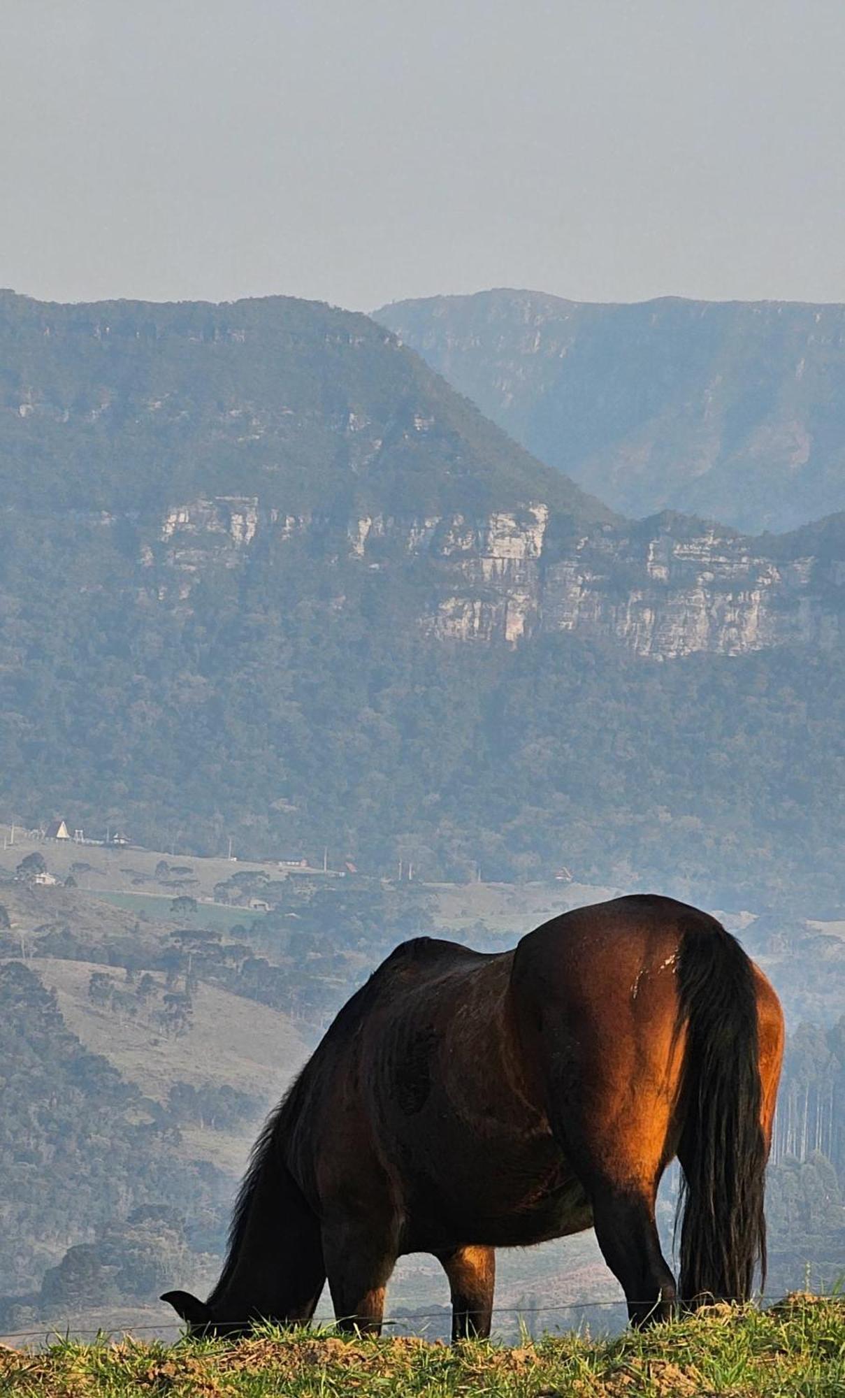 アウフレド・ヴァギネル Refugio Da Montanha Brasilヴィラ エクステリア 写真